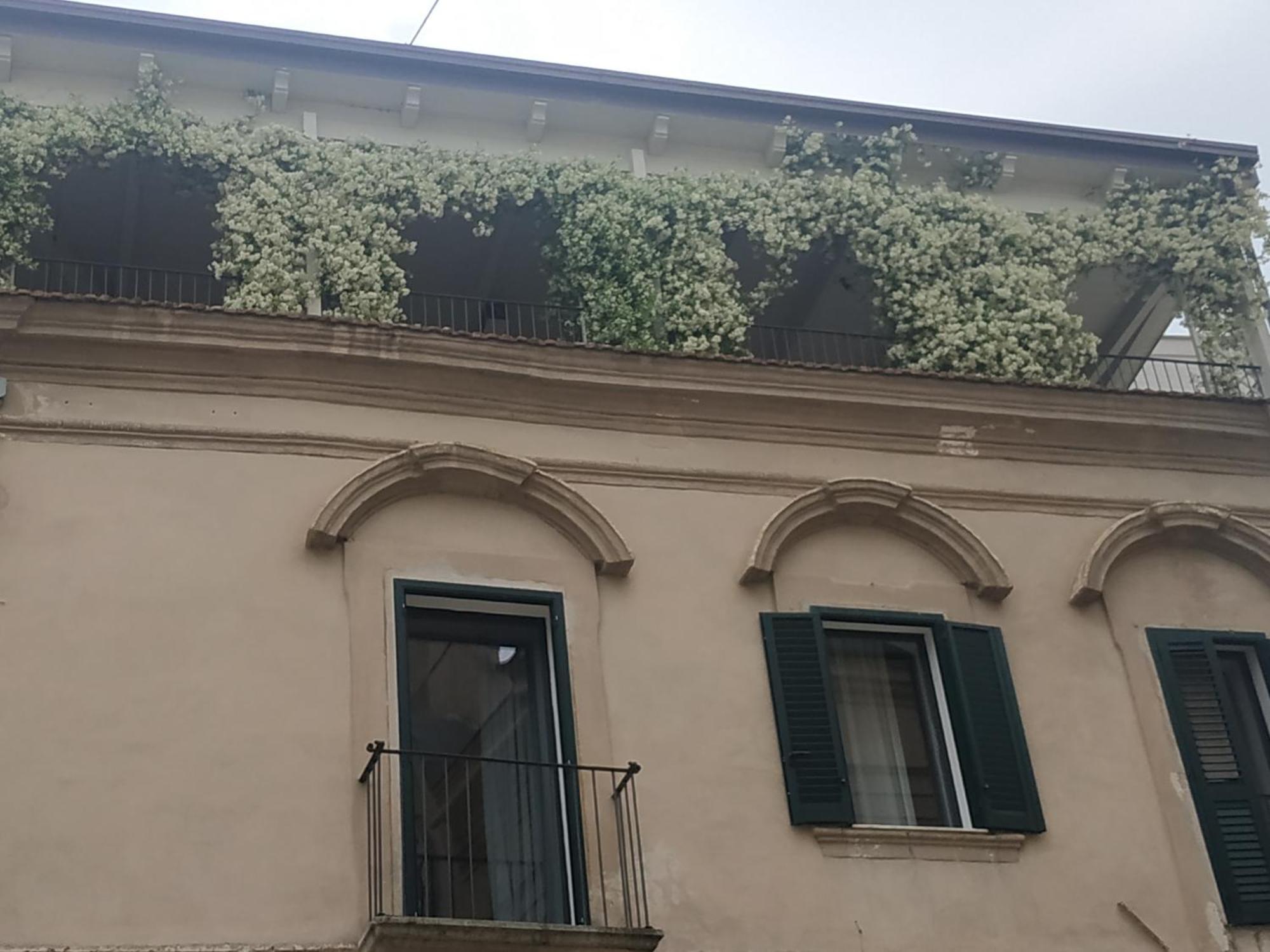 Miro' Rooms Gravina in Puglia Exteriör bild